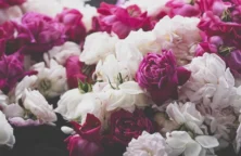 Robertet : un potentiel de croissance intact