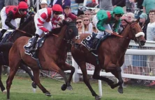 course-de-chevaux (cc)