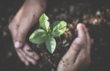 Placements durables : faut-il se fier aux nouveaux labels ?