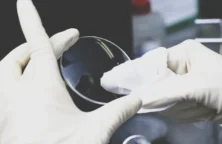 EssilorLuxottica veut entrer au capital de Giorgio Armani