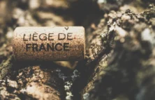 Oeneo : pourquoi l’action reste-t-elle déprimée ?