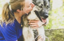 Animal de compagnie : et si vous l’assuriez ?