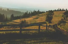 Maisons, vignes, forêts, terres: profitez des baisses de prix pour investir