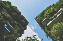 Inéa : activité dynamique malgré la crise