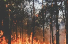 Les catastrophes naturelles ont coûté 224 milliards de dollars en 2025