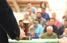 Les ventes aux enchères à ne pas manquer en mai 2025