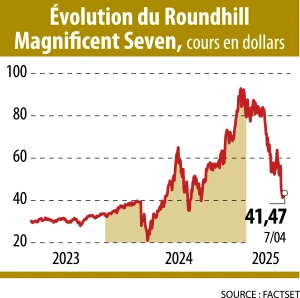 Infographie : Évolution du Roundhill Magnificent Seven, cours en dollars